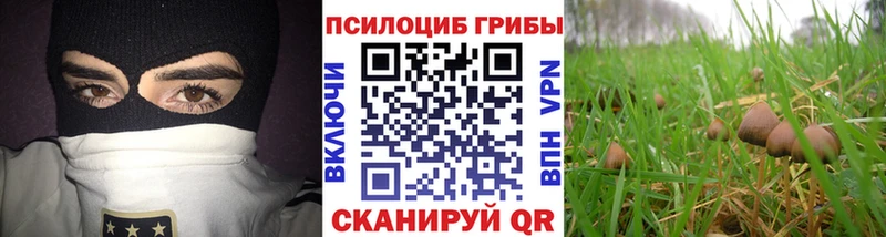 Галлюциногенные грибы прущие грибы  Долгопрудный 