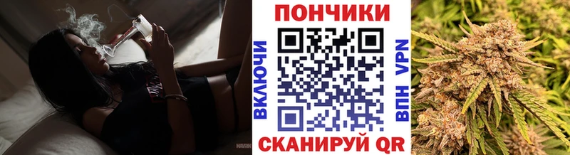 Каннабис индика  наркота  Долгопрудный 